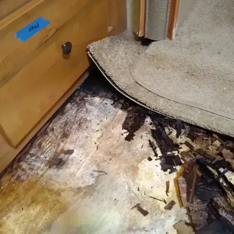 Wood Floor Water Damage in Elmhurst, IL